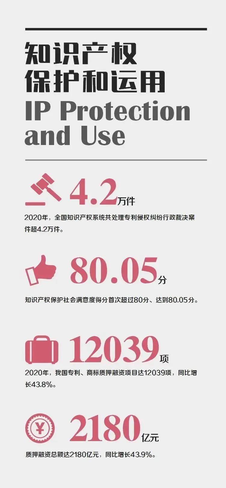知識產(chǎn)權(quán)保護(hù)統(tǒng)計數(shù)據(jù)