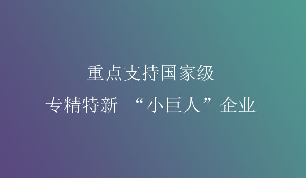 小巨人企業(yè)項(xiàng)目申報