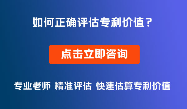 專利價(jià)值評(píng)估