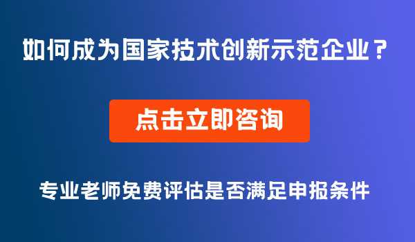 國家技術(shù)創(chuàng)新示范企業(yè)