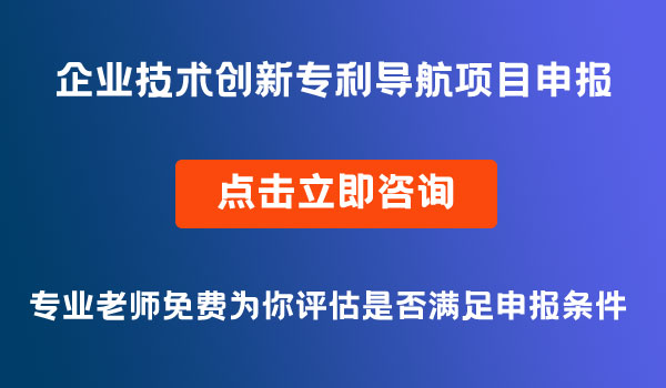 企業(yè)技術(shù)創(chuàng)新專利導航項目申報