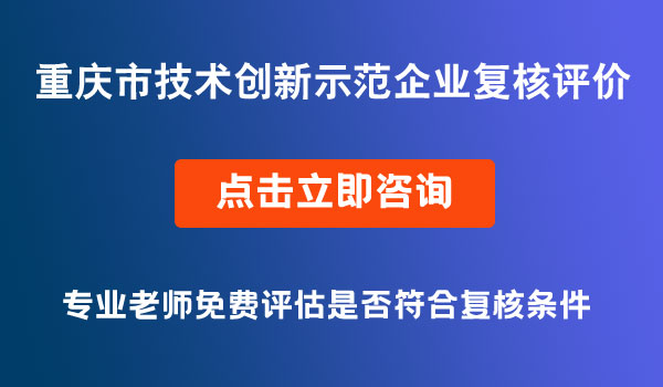 技術創(chuàng)新示范企業(yè)復核