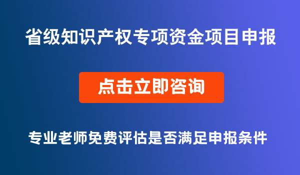 知識產(chǎn)權(quán)專項資金項目申報