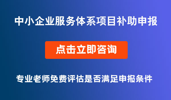 中小企業(yè)服務(wù)體系項目