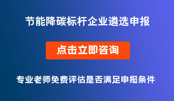 節(jié)能降碳標(biāo)桿企業(yè)