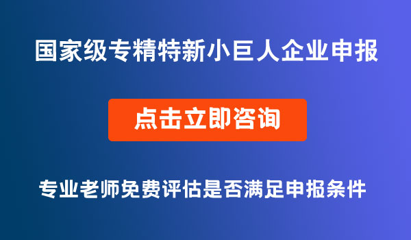 專精特新小巨人企業(yè)