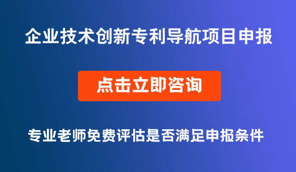 企業(yè)技術(shù)創(chuàng)新專利導(dǎo)航項(xiàng)目申報(bào)