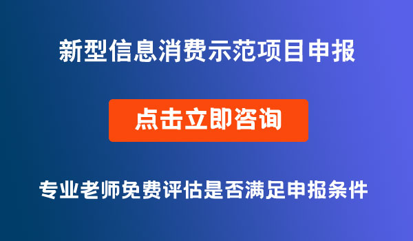 新型信息消費(fèi)示范項(xiàng)目申報(bào)