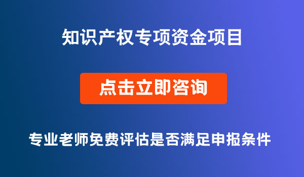 省級知識產權專項資金項目