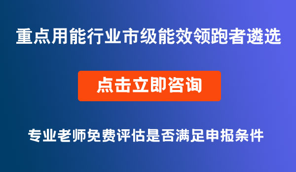 重點(diǎn)用能行業(yè)市級(jí)能效領(lǐng)跑者