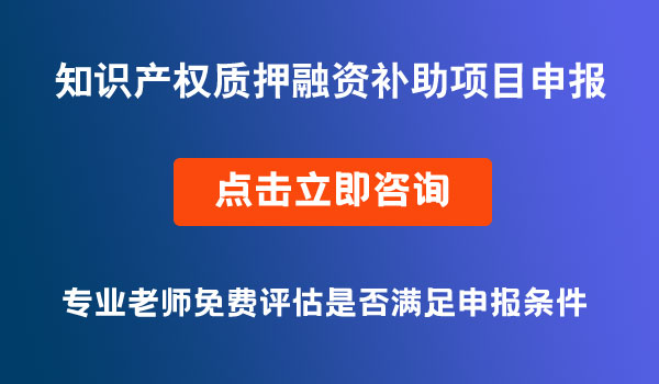 知識產(chǎn)權(quán)質(zhì)押融資評估費及專利保險保費補助申報