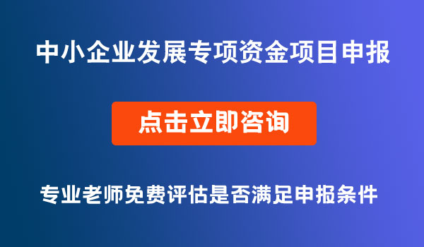 中小企業(yè)發(fā)展專(zhuān)項(xiàng)資金項(xiàng)目申報(bào)