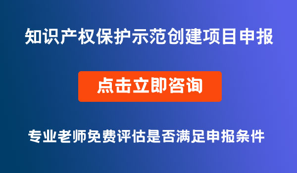 知識產(chǎn)權(quán)保護示范創(chuàng)建項目申報