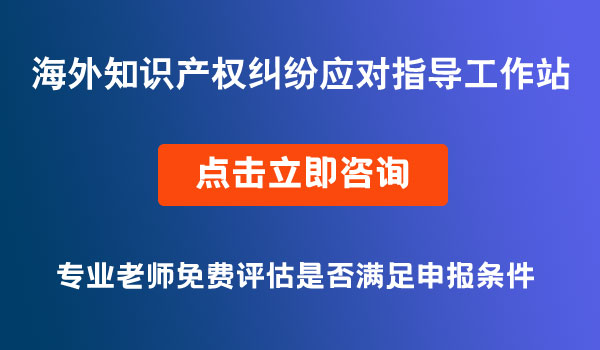 外知識(shí)產(chǎn)權(quán)糾紛應(yīng)對指導(dǎo)工作站