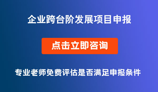 企業(yè)跨臺(tái)階發(fā)展項(xiàng)目