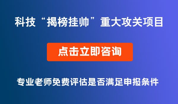 科技“揭榜掛帥”重大攻關(guān)項目