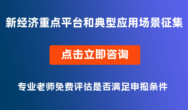 新經(jīng)濟(jì)重點平臺和典型應(yīng)用場景